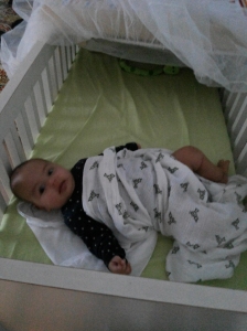 Managed to turn 90 degrees in her cot!